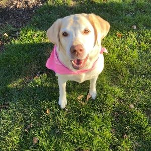 Meet your Posher, Jessie